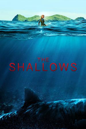 Instinct de survie - The Shallows