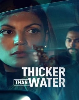 thicker-than-water-saison-1